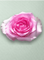 Mandala Bicolor - Imagen 2