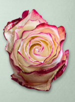 Sweetness - Imagen 2